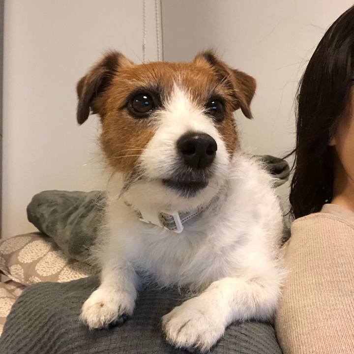 73e23b62 39fa 4ac9 8e6c cb3dfb70e150 1589289160433