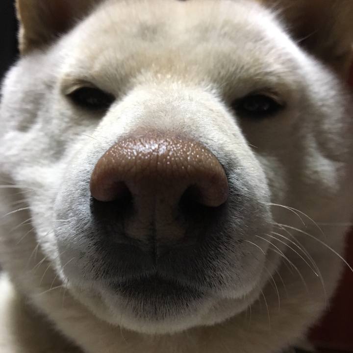 73e244c6 a23b 4571 b4fd d16e1a86a357 1519646353093