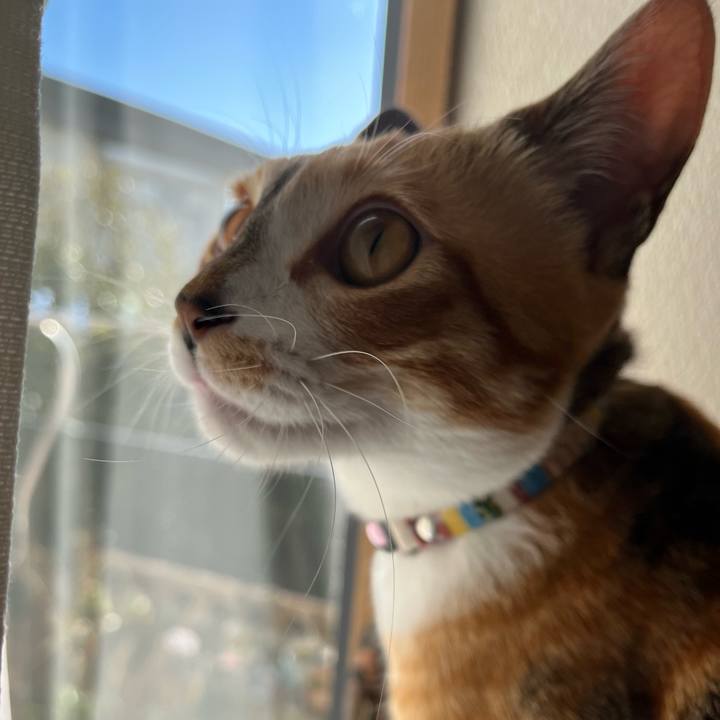 73e25b6d 2e74 462c ad3b c430f974b10f 1671669933801