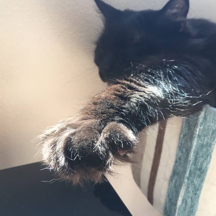 73e2683d 889e 440d a92e a9548c9da1ae 1527137658809