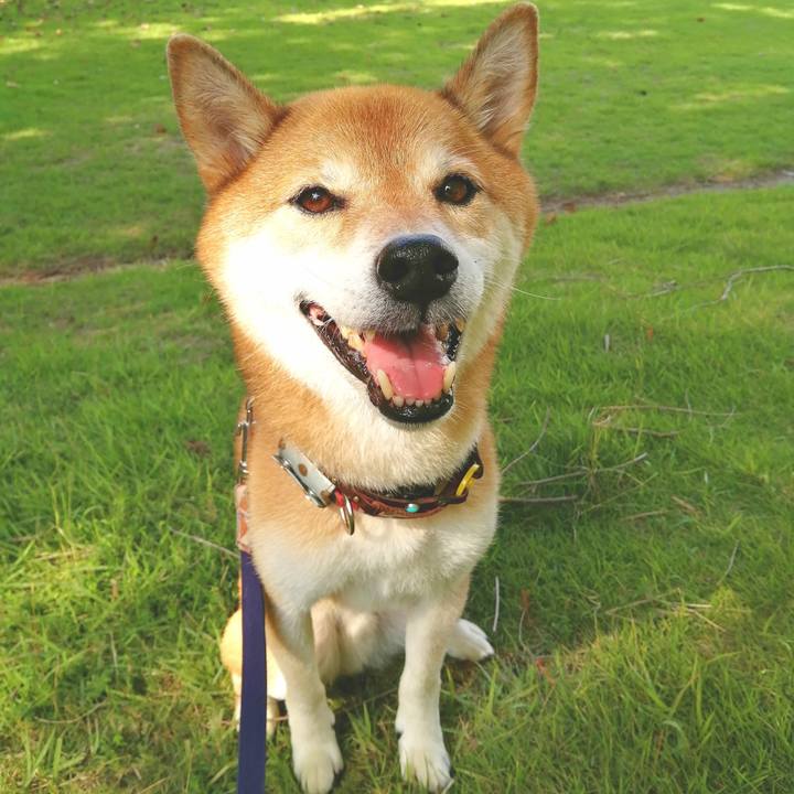 73e27068 3273 4179 871b daddf66c7890 1692232602247