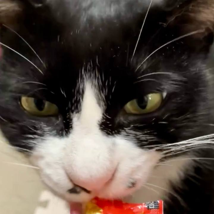 73e27de5 a828 4ffd 878c 0eb50e10bc2b 1729396316990