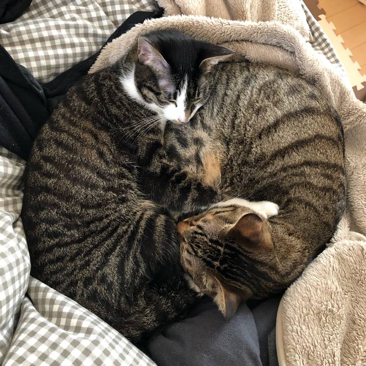 73e28c4d 350e 444c bb1d c70ca9ae9d97 1519964381515