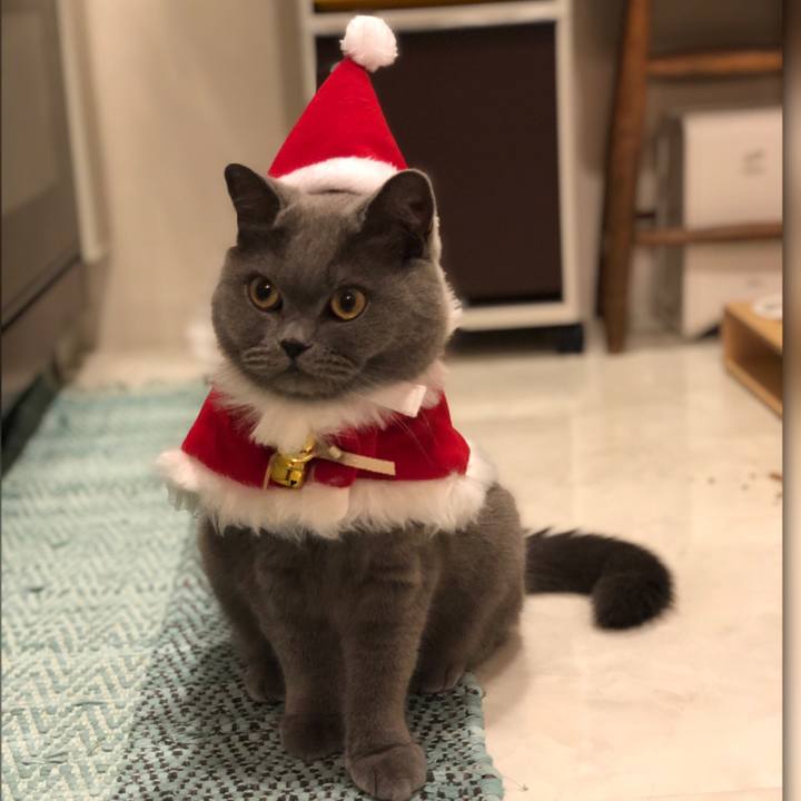 73e38953 f9f5 4196 a575 8e4566f2e50c 1544831073413