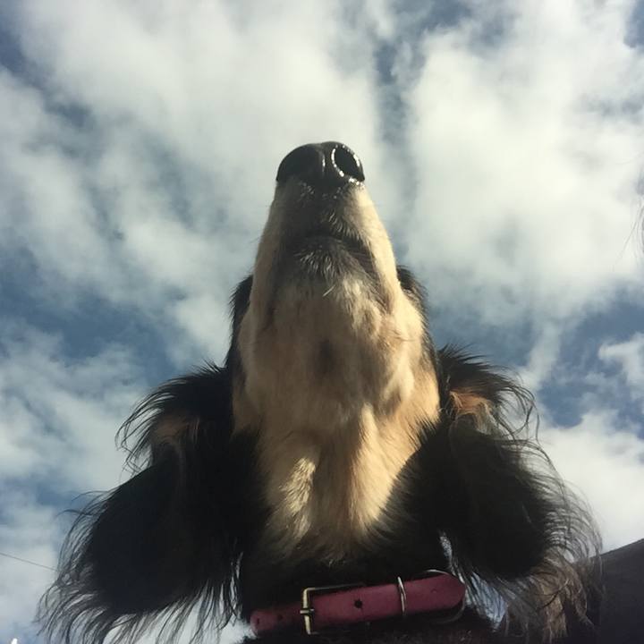 73e397c0 fece 447a 9bdd 46943fa072df 1539993192403