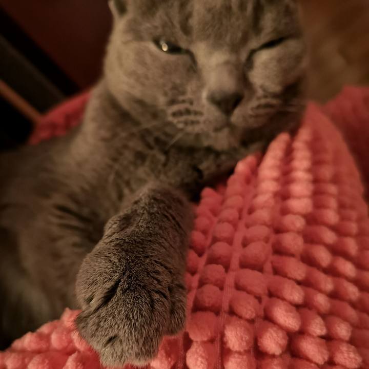 73e3a3f5 4def 4149 a0a2 e6e88d17230f 1635770976042