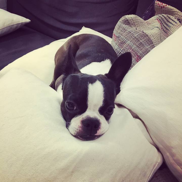 73e3a516 eaa7 4c89 b244 c1a310f3317d 1531750194665