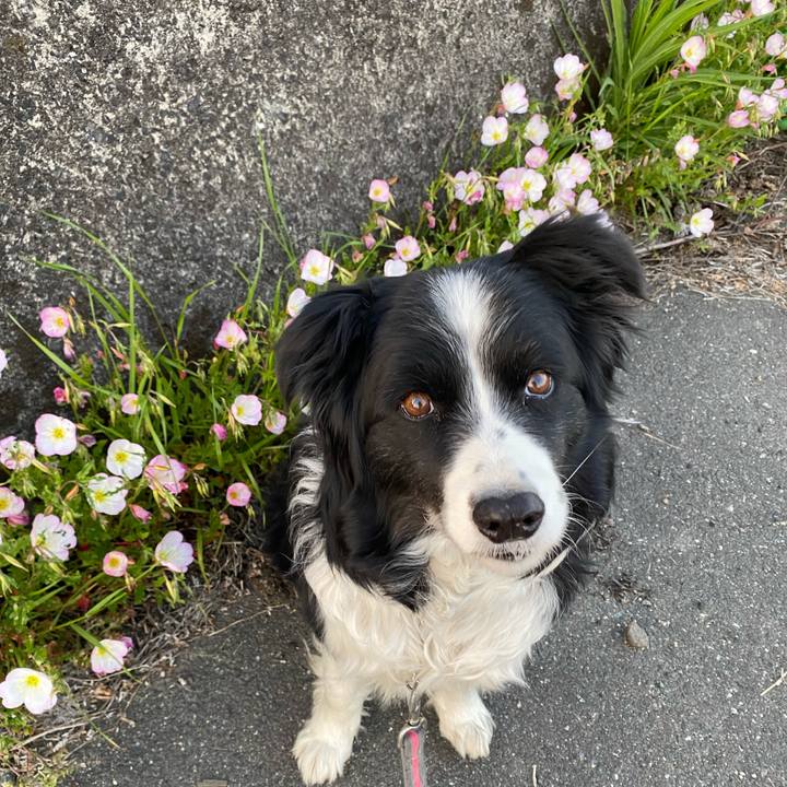 73e3d7ba 44c5 4d5b 996e 7717b9a73533 1618913124898