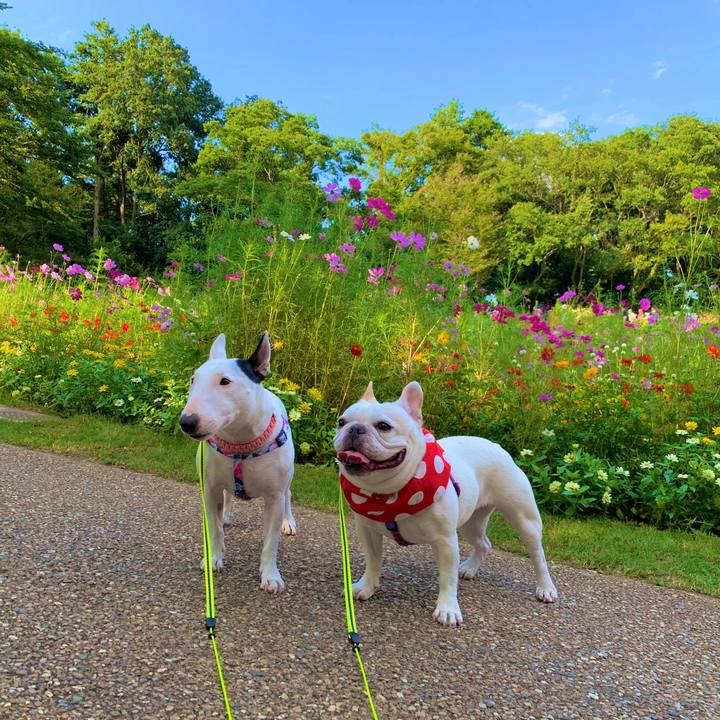 73e3d9d6 0544 48f0 ae3f 013a9c5e54e2 1601998365752