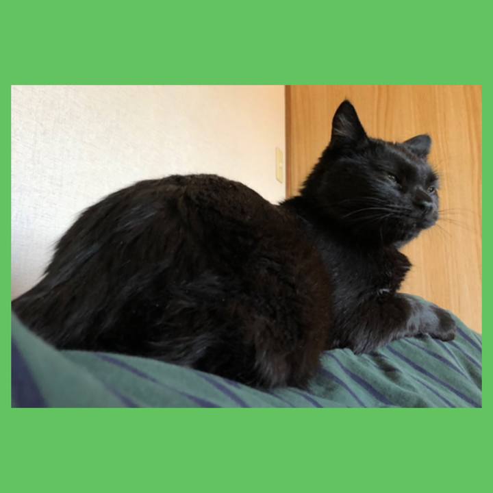 73e3e1b7 48b5 48b1 873c f8947b638a6f 1590914599897