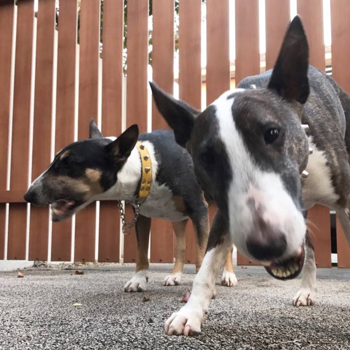 73e3e75b 5b45 4c56 b258 4f4ac82193e9 1509867721213