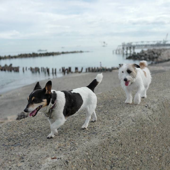 73e3f98f 9f87 49a0 95b9 4bb5992f60eb 1530331457069