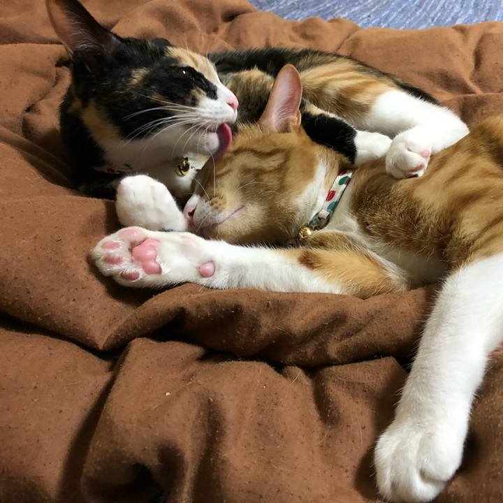 73e45b1a cf68 4184 9a5e d22fb0a37cc1 1568549279592