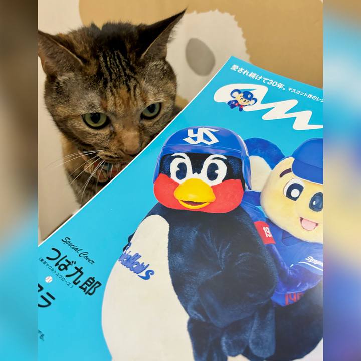 73e49436 e8af 4c5b b028 aa8e722f4fd1 1726048872591