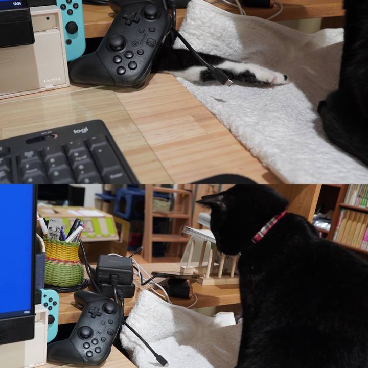 73e497da 6dd7 4d2f 968d 86a207dc8b91 1608108299711