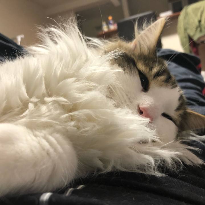 73e4997f f2fc 445e 9bd4 11e6eac73f74 1523117087141