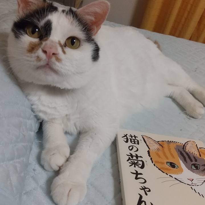 73e4d0ea 54d6 4b94 ae0c e6c5fb2a7197 1597415778519