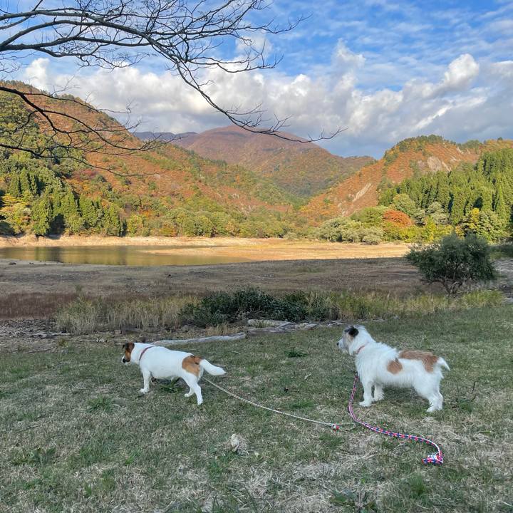 73e5041e 9ba9 4ae0 a818 fc6eaa89d844 1731315917307