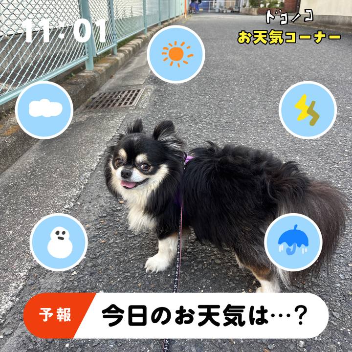 73e52544 17fb 45a4 9986 8d147eb78390 1781513106357