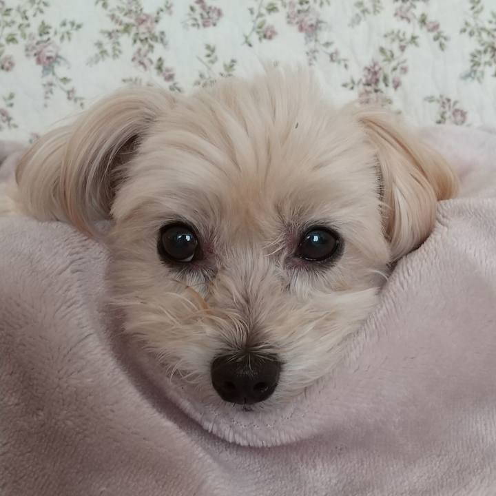 73e5326f 6c6a 4b05 a247 5dc7320e8171 1577411767077