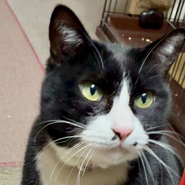 73e54daa db3e 4912 b9b4 e1dbb386055b 1770211112309