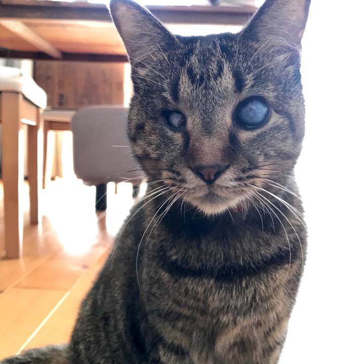 73e55ed0 7ef0 4dc8 8816 a1da849a9af1 1573214352663