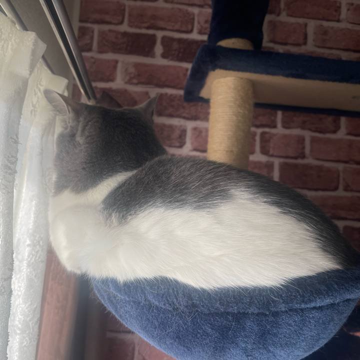 73e5868e a3b2 430a b677 38f7d92c7295 1676589998156