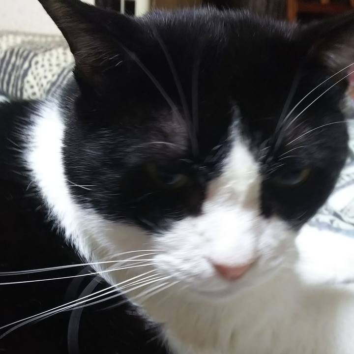 73e58b1c 4be1 4424 a1cc 547054a96e3e 1568929756628