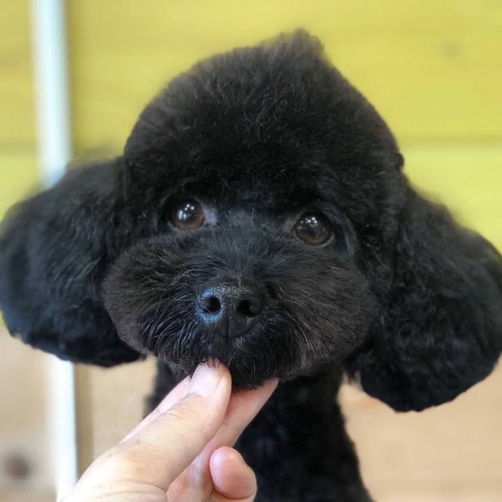 73e58d67 12b1 4f4b afd1 f070de62d9dd 1577671209191