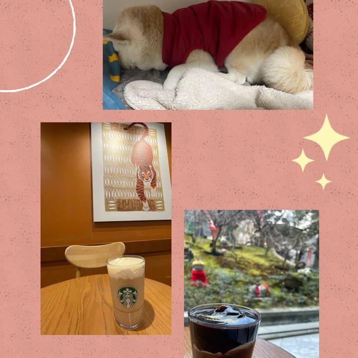 73e59ab6 9693 4e4a 9d55 aa4bd9c4a21c 1706138164915