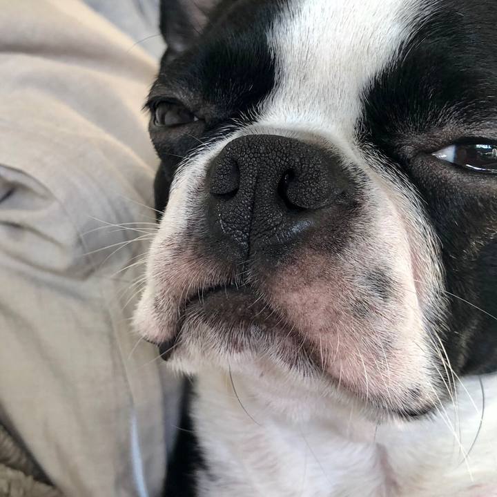 73e5feb8 9621 47b8 89f0 6c4f820f91fb 1540172788978