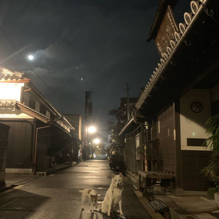 73e61e9b 3393 47b6 8a35 b528e589053e 1545479149322