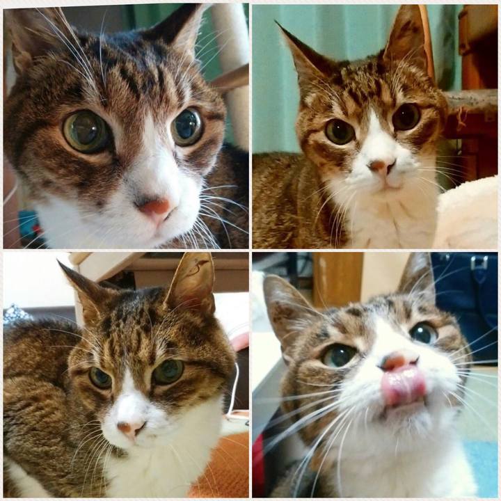 73e691c1 1d4d 4a36 8753 b7478426939f 1512047971639