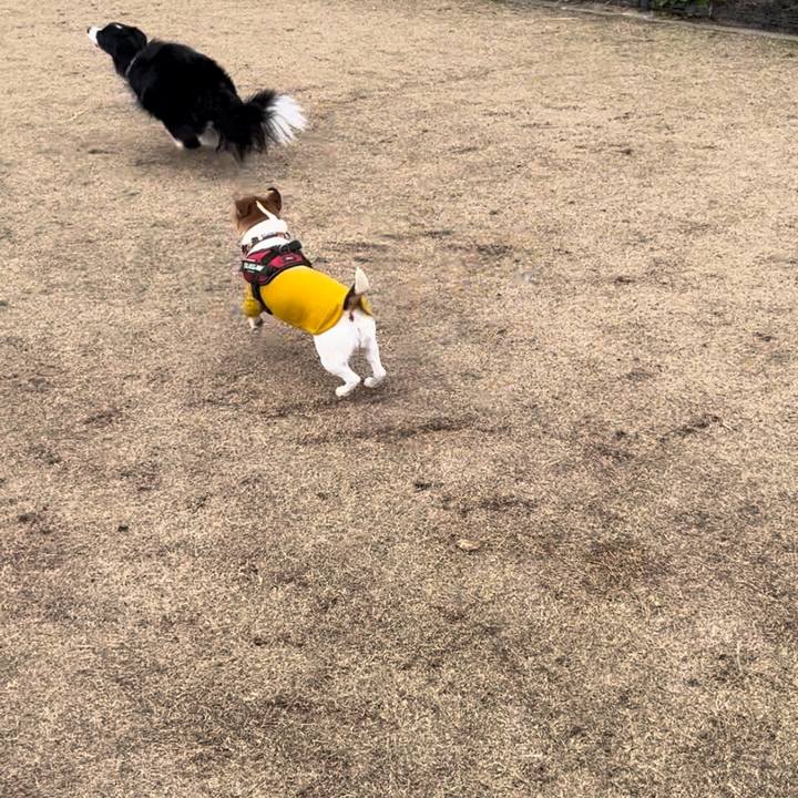 73e6c2b5 2ed8 44f7 a0e3 34fc63ec2ed6 1709371515095