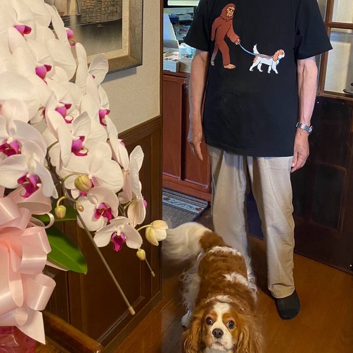 73e6d95a 12c1 4b3b b3a1 2faa865b3e81 1718848402274