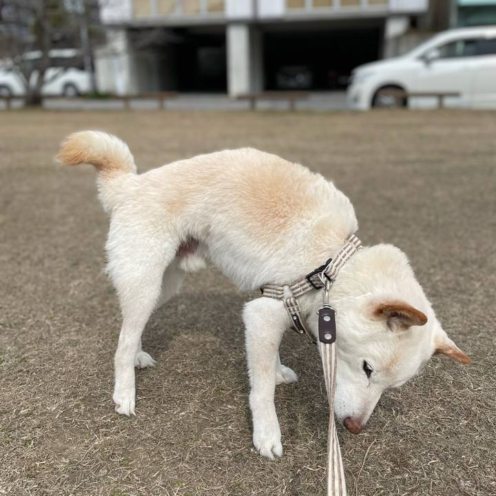 73e713cf 21b3 42b0 90b5 7726b987f78f 1646998070492