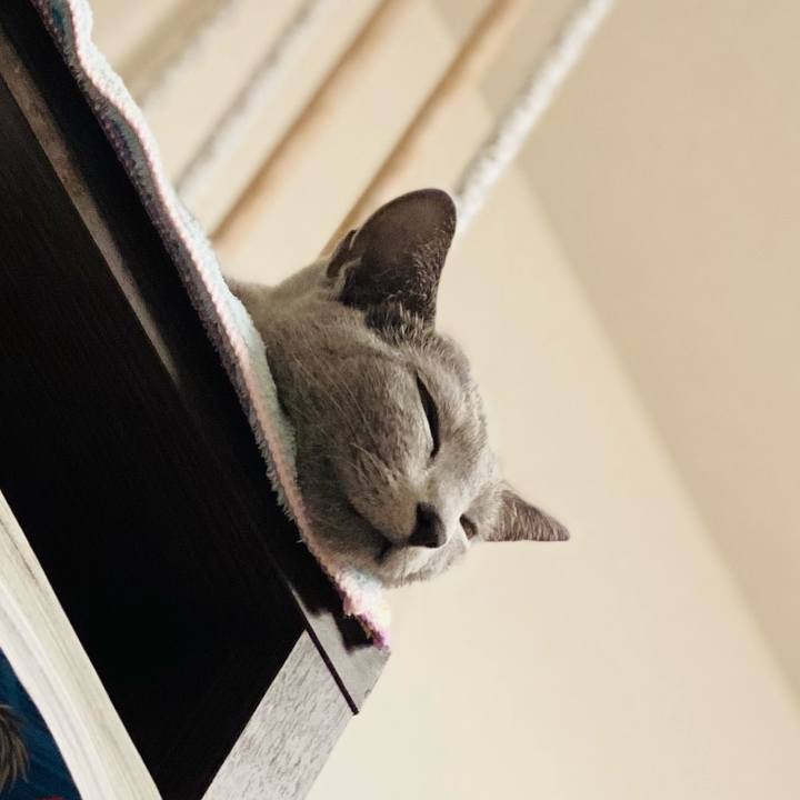 73e71e1e 16ab 4581 b1eb 32d897f2ce6f 1694007700156