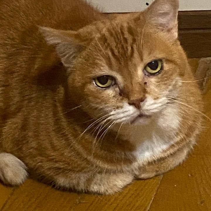 73e732a1 f349 4079 b8fa 3288945e3b11 1730716173676