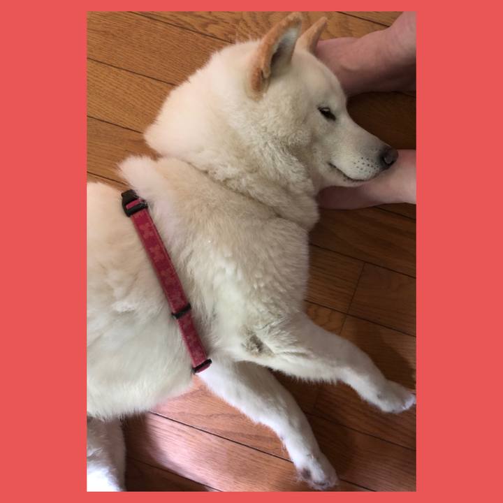 73e74013 9fa0 4d4d 9153 0c8434aa62a5 1589950153920