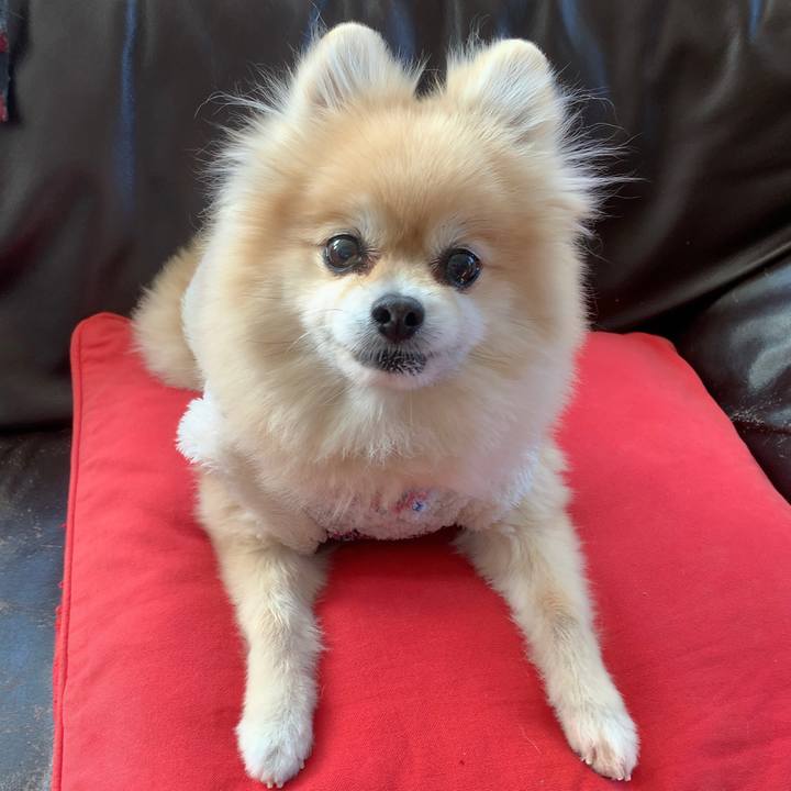 73e74771 70a5 4a7a a7ea 9343a02967e3 1609904356991