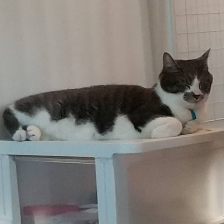 73e74d53 4ea6 4fb7 9064 7f3fe4d23d2e 1610497637268