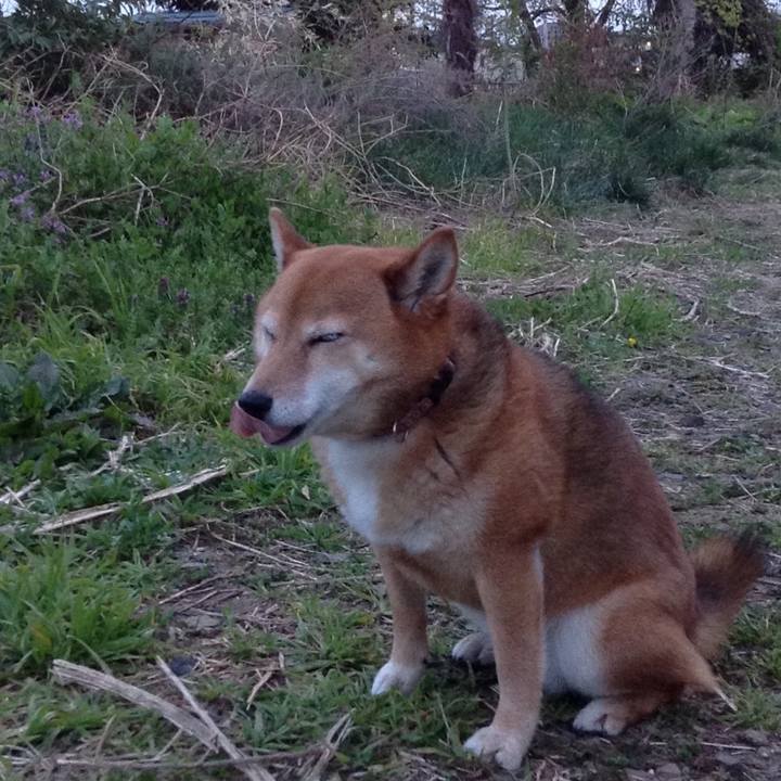 73e75010 8a63 4227 af4c f687ab9b79b6 1522575440582