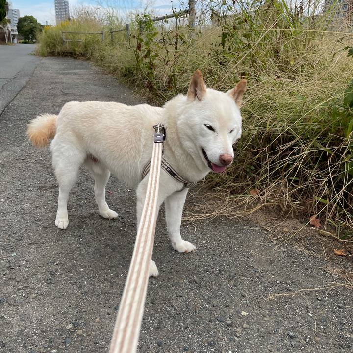 73e7da14 4e34 44ee aadc 5dc04114fffb 1634634387104