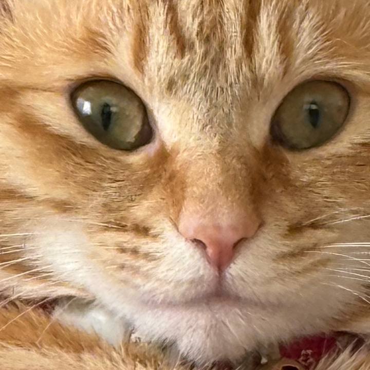 73e7e40c 473d 4cb0 8079 e2e120757c4d 1774136591926