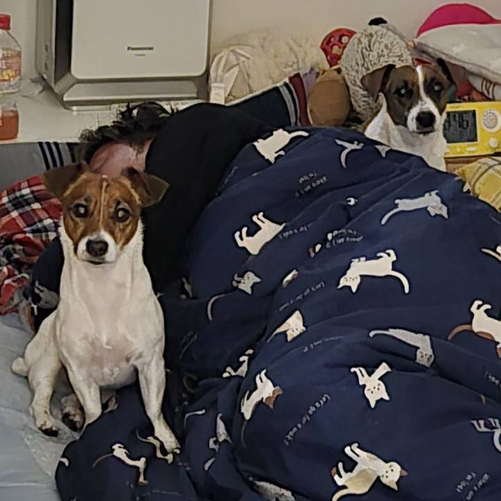 73e7e563 d0dc 45ca 8d33 406f17a19f5d 1770787078960