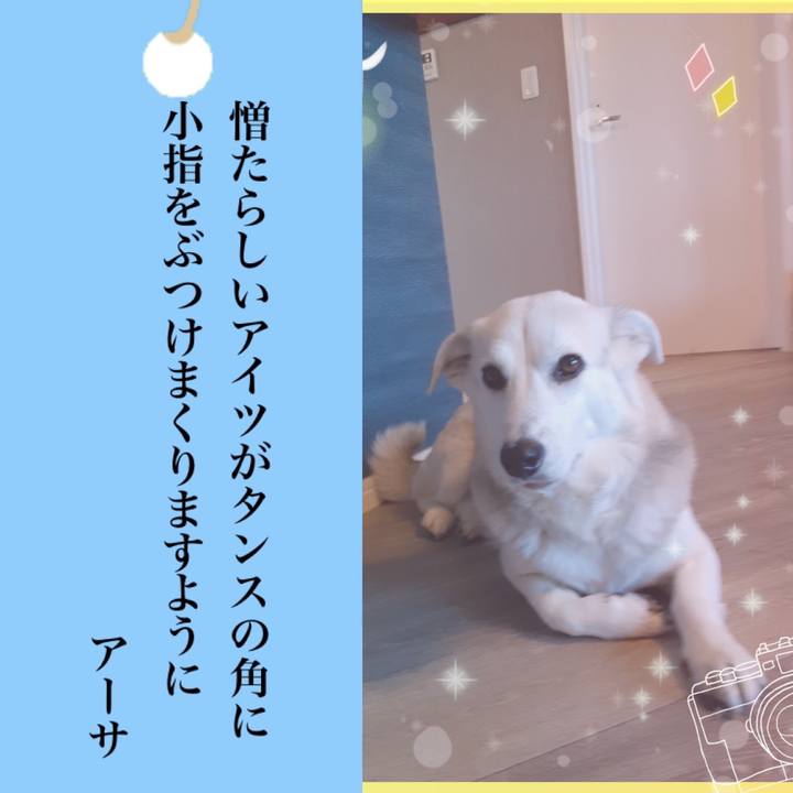 73e81117 a785 435d 98a0 14ecdc9bfd51 1625615494585