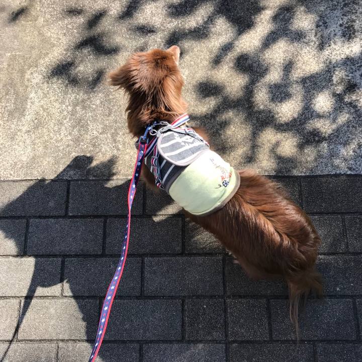 73e81531 1d62 412e a71b 039601841f9b 1530488979970