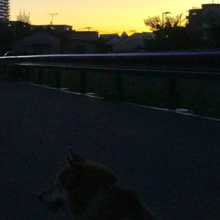 73e81727 d089 4d0f aa78 c2a6408c2e05 1570186768844