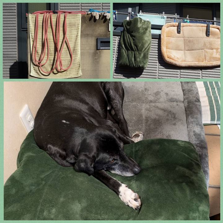 73e856f0 882f 4c39 af64 4b3d0ca1fd55 1769864535664