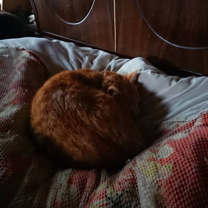 73e85cbb 6d73 49de 99ba 1fe53528fd4a 1584837885578